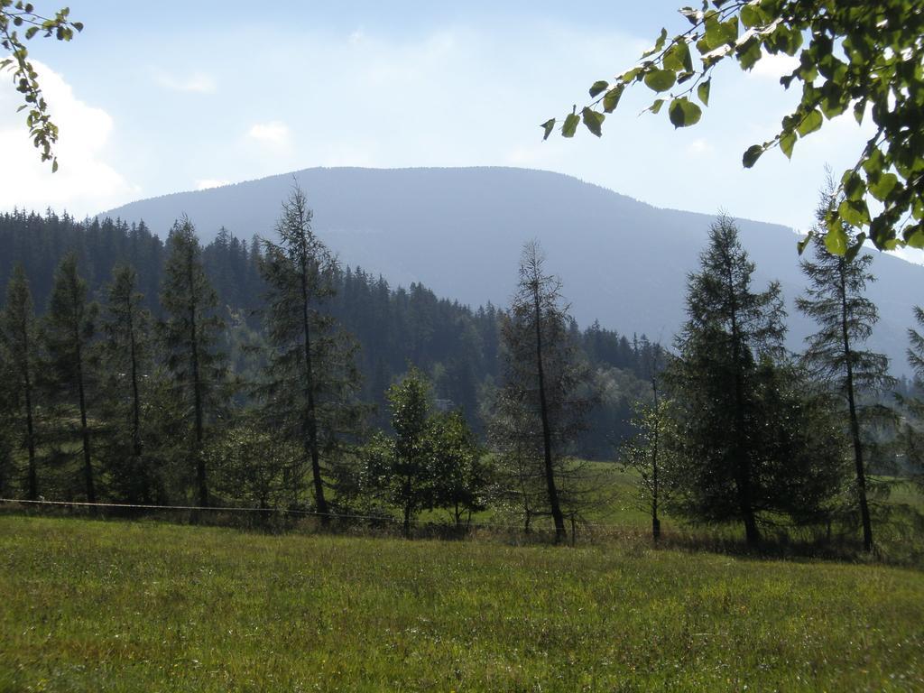 Ubytovani U Pradku Čeladná Exterior foto